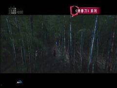 国产精品大陆在视频,影视盛宴，展现中国魅力