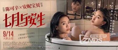 国产女同精品9,细腻情感与独特视角的青春共鸣